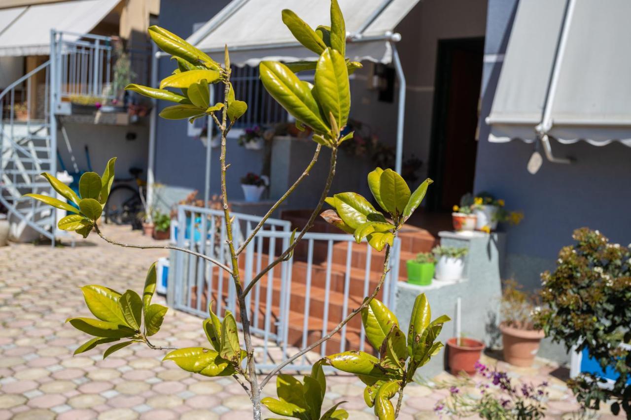Vila Aulona Vlore Exterior photo
